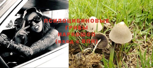 твердый Майский
