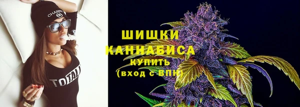 гашик Магас