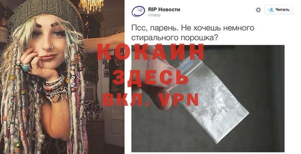 твердый Майский
