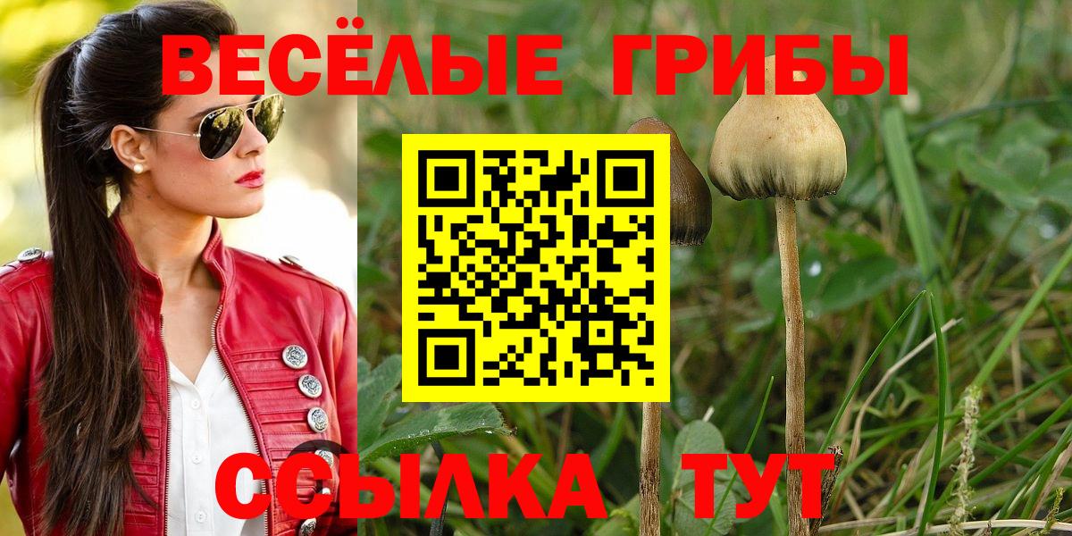 Галлюциногенные грибы прущие грибы Ханты-Мансийск