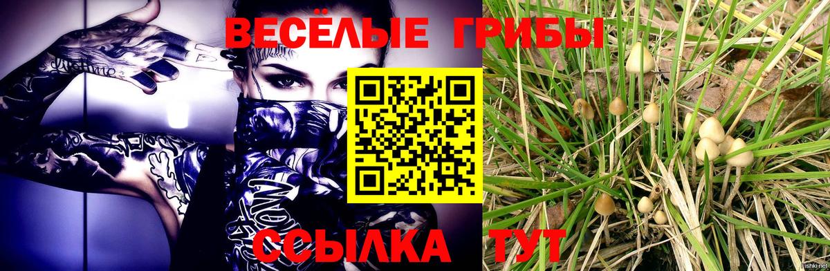 Ханты-Мансийск  Галлюциногенные грибы Psilocybine cubensis  Вход с VPN 